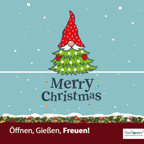 Dein MacFlowers Tannenbaum Anzuchtset | Alles enthalten | 10 Samen | Nachhaltig Schenken | Geschenk für Frauen und Männer | Adventskalender Füllung Wichteln Weihnachten Nordmanntanne