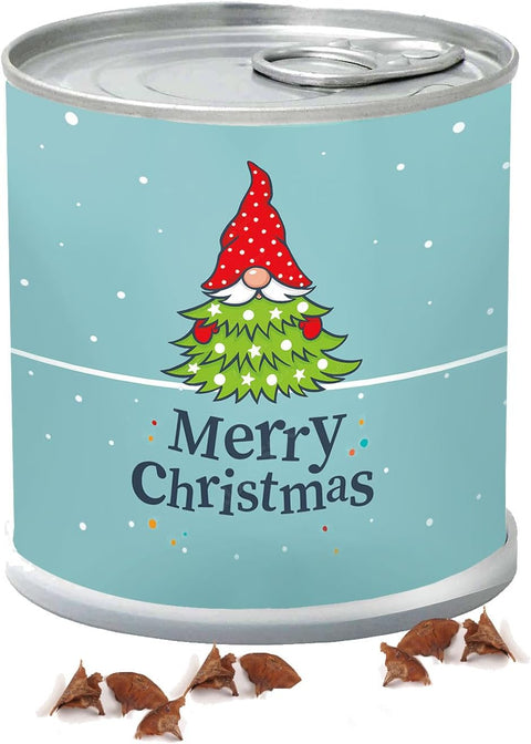 Dein MacFlowers Tannenbaum Anzuchtset | Alles enthalten | 10 Samen | Nachhaltig Schenken | Geschenk für Frauen und Männer | Adventskalender Füllung Wichteln Weihnachten Nordmanntanne