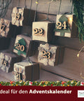 Weihnachtsbaum Fichte Anzucht-Set | 2 Stück | Geschenk in instant Gardening Blumendosen | Spar-Set | Für Adventskalender Weihnachten