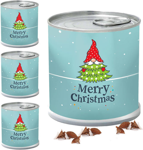 4 Stück MacFlowers Tannenbaum Nordmanntanne Anzuchtset, Alles enthalten, 10 Samen, Nachhaltig Schenken, Geschenk für Frauen und Männer, Adventskalender Wichteln