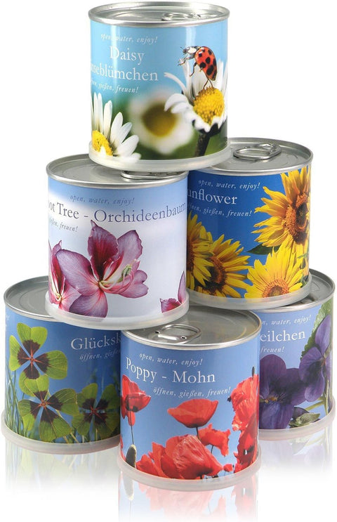 Weihnachtsbaum in der Dose - 2X Merry Christmas