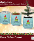 Dein MacFlowers Tannenbaum Anzuchtset | Alles enthalten | 10 Samen | Nachhaltig Schenken | Geschenk für Frauen und Männer | Adventskalender Füllung Wichteln Weihnachten Nordmanntanne