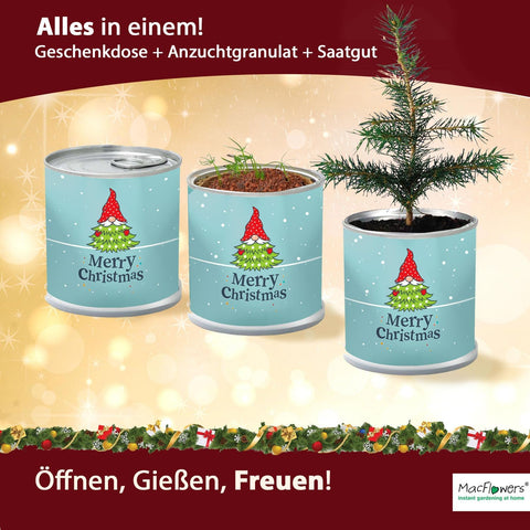 Dein MacFlowers Tannenbaum Anzuchtset | Alles enthalten | 10 Samen | Nachhaltig Schenken | Geschenk für Frauen und Männer | Adventskalender Füllung Wichteln Weihnachten Nordmanntanne