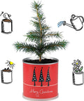 Weihnachtsbaum in der Blumendose | 4 Stück | Merry Christmas Rot | Dein Anzuchtset | Tannenbaum Adventskalender Wichteln