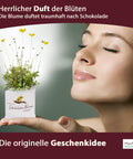 Deine MacFlowers Schokoladenblume, Ein lieber Gruß, Für Dich, Schokoblume in der Blumendose, Das originelle Geschenk, Anzuchtset, Duftet traumhaft nach Schokolade, Geburtstag