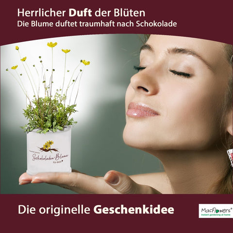 Deine MacFlowers Schokoladenblume, Ein lieber Gruß, Für Dich, Schokoblume in der Blumendose, Das originelle Geschenk, Anzuchtset, Duftet traumhaft nach Schokolade, Geburtstag
