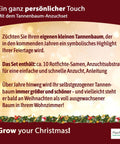 4 Stück Weihnachtsbaum in der Dose, Merry Christmas, Tannenbaum Anzuchtset mit 10 Samen für 6 Tannenbäume als Adventskalender Füllung Wichteln, Geschenk Set