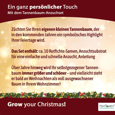 4 Stück Weihnachtsbaum in der Dose, Merry Christmas, Tannenbaum Anzuchtset mit 10 Samen für 6 Tannenbäume als Adventskalender Füllung Wichteln, Geschenk Set