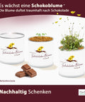 Deine MacFlowers Schokoladenblume, Ein lieber Gruß, Für Dich, Schokoblume in der Blumendose, Das originelle Geschenk, Anzuchtset, Duftet traumhaft nach Schokolade, Geburtstag