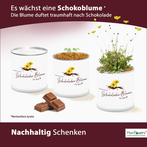 Deine MacFlowers Schokoladenblume, Ein lieber Gruß, Für Dich, Schokoblume in der Blumendose, Das originelle Geschenk, Anzuchtset, Duftet traumhaft nach Schokolade, Geburtstag