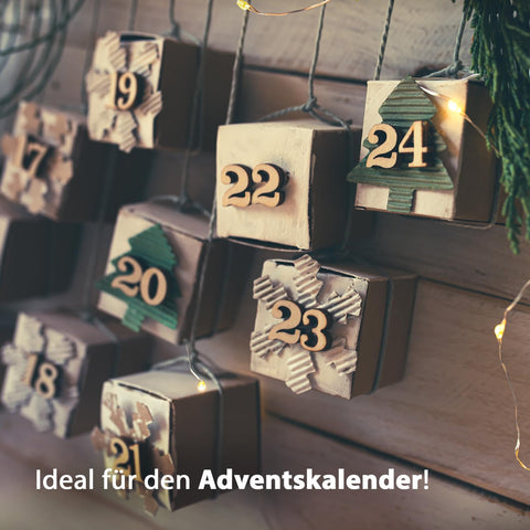 Dein MacFlowers Tannenbaum | Dein Tannenbaum Anzuchtset | Alles enthalten | 10 Samen | Nachhaltig Schenken | Geschenk für Frauen und Männer | Adventskalender Füllung Wichteln Nordmanntanne