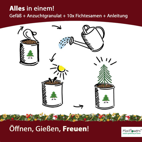 Ein MacFlowers Weihnachtsbaum in der Dose, Merry Christmas, Tannenbaum Anzuchtset mit 10 Samen für 6 Tannenbäume als Adventskalender Füllung Wichteln, Weihnachten