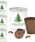 4x Deine MacFlowers Tannenbäume, Nordmanntanne Anzuchtset, Alles enthalten, Nachhaltig Schenken, Geschenk für Frauen und Männer als Adventskalender Wichteln Weihnachten