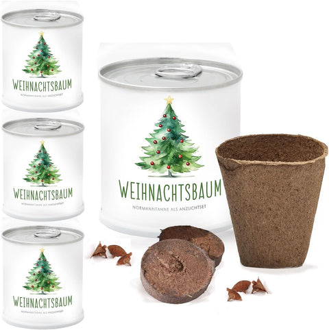 4x Deine MacFlowers Tannenbäume, Nordmanntanne Anzuchtset, Alles enthalten, Nachhaltig Schenken, Geschenk für Frauen und Männer als Adventskalender Wichteln Weihnachten