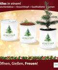 Dein MacFlowers Tannenbaum | Dein Tannenbaum Anzuchtset | Alles enthalten | 10 Samen | Nachhaltig Schenken | Geschenk für Frauen und Männer | Adventskalender Füllung Wichteln Nordmanntanne