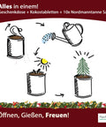 Dein MacFlowers Tannenbaum | Dein Tannenbaum Anzuchtset | Alles enthalten | 10 Samen | Nachhaltig Schenken | Geschenk für Frauen und Männer | Adventskalender Füllung Wichteln Nordmanntanne