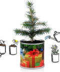 Weihnachtsbaum in der Dose - 2X Merry Christmas