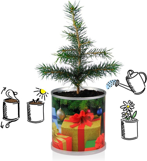 Weihnachtsbaum in der Dose - 2X Merry Christmas