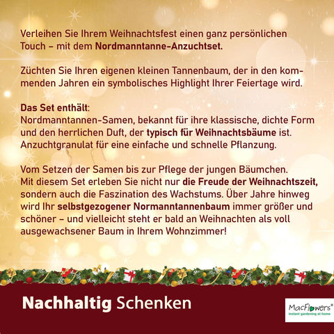 Dein MacFlowers Tannenbaum Anzuchtset | Alles enthalten | 10 Samen | Nachhaltig Schenken | Geschenk für Frauen und Männer | Adventskalender Füllung Wichteln Weihnachten Nordmanntanne