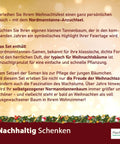 Dein MacFlowers Tannenbaum | Dein Tannenbaum Anzuchtset | Alles enthalten | 10 Samen | Nachhaltig Schenken | Geschenk für Frauen und Männer | Adventskalender Füllung Wichteln Nordmanntanne