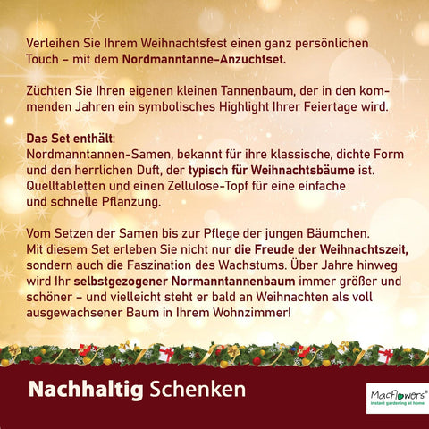 4x Deine MacFlowers Tannenbäume, Nordmanntanne Anzuchtset, Alles enthalten, Nachhaltig Schenken, Geschenk für Frauen und Männer als Adventskalender Wichteln Weihnachten