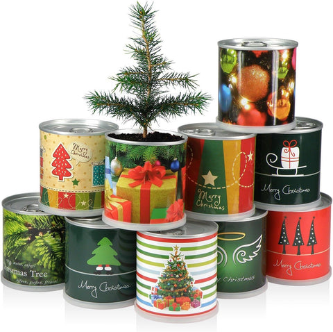 Weihnachtsbaum in der Dose - 2X Merry Christmas