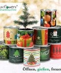 Weihnachtsbaum in der Blumendose | Merry Christmas Rot | Dein Anzuchtset | Tannenbaum Adventskalender Wichteln Nachhaltig