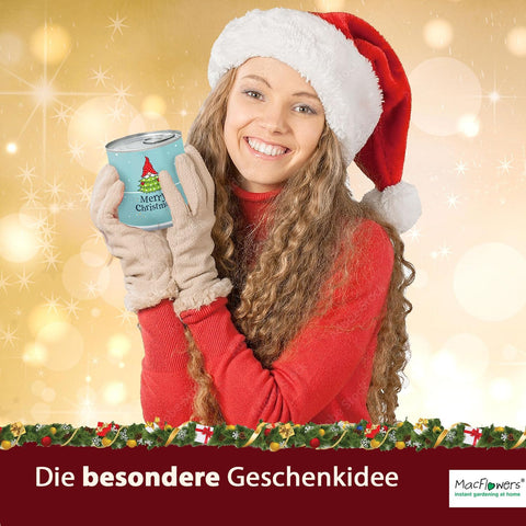 4 Stück MacFlowers Tannenbaum Nordmanntanne Anzuchtset, Alles enthalten, 10 Samen, Nachhaltig Schenken, Geschenk für Frauen und Männer, Adventskalender Wichteln